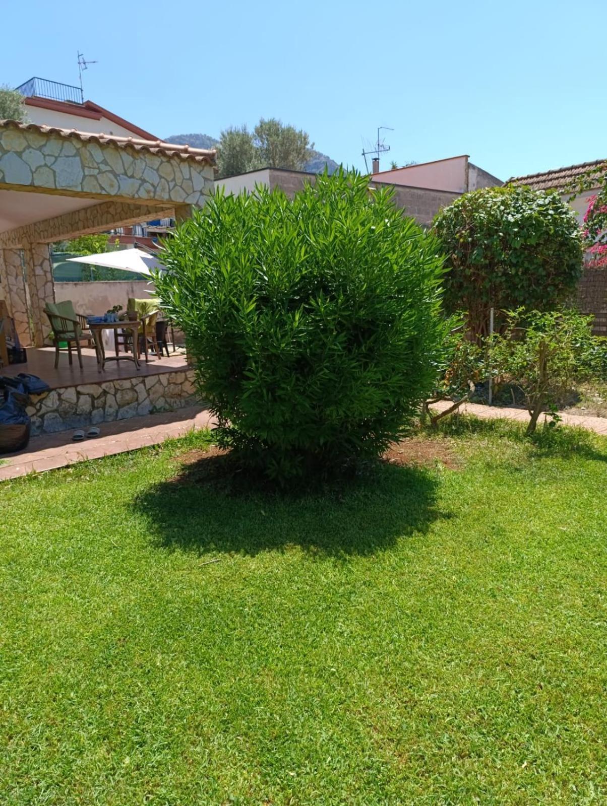 巴勒莫Casa In Giardino A Pochi Passi Dal Mare别墅 外观 照片
